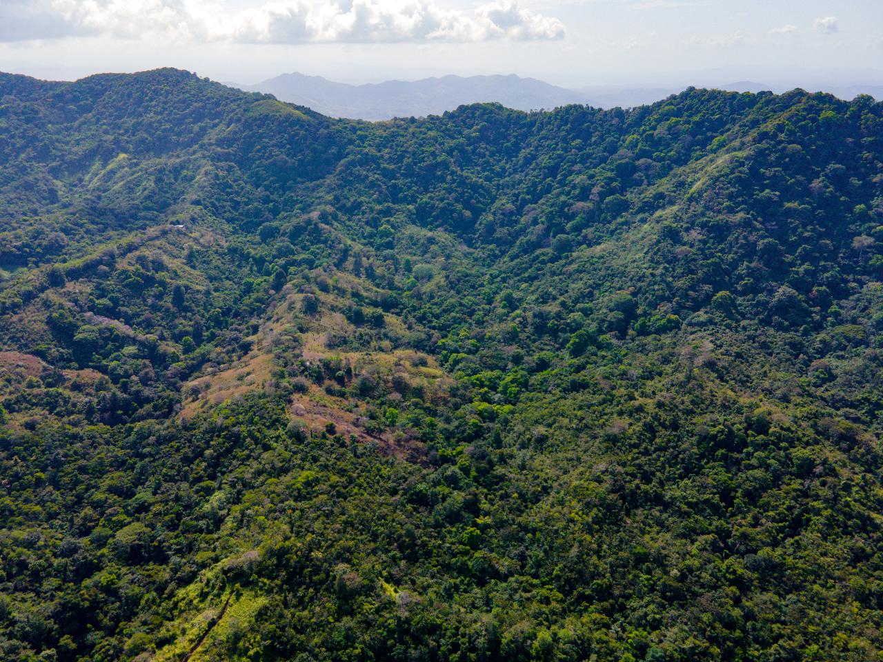 Beautiful Farm in Quebrada Bonita Colón