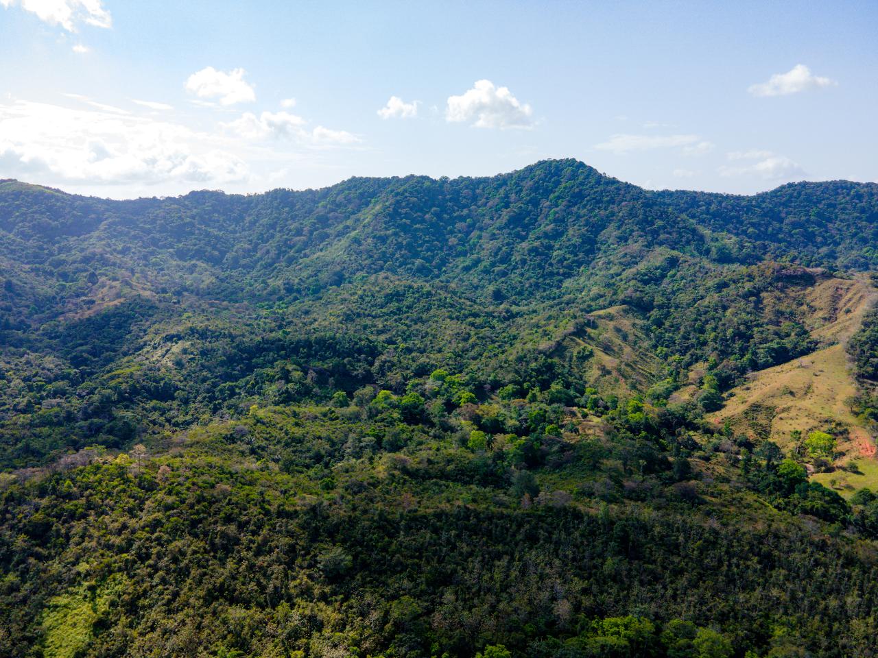 Beautiful Farm in Quebrada Bonita Colón