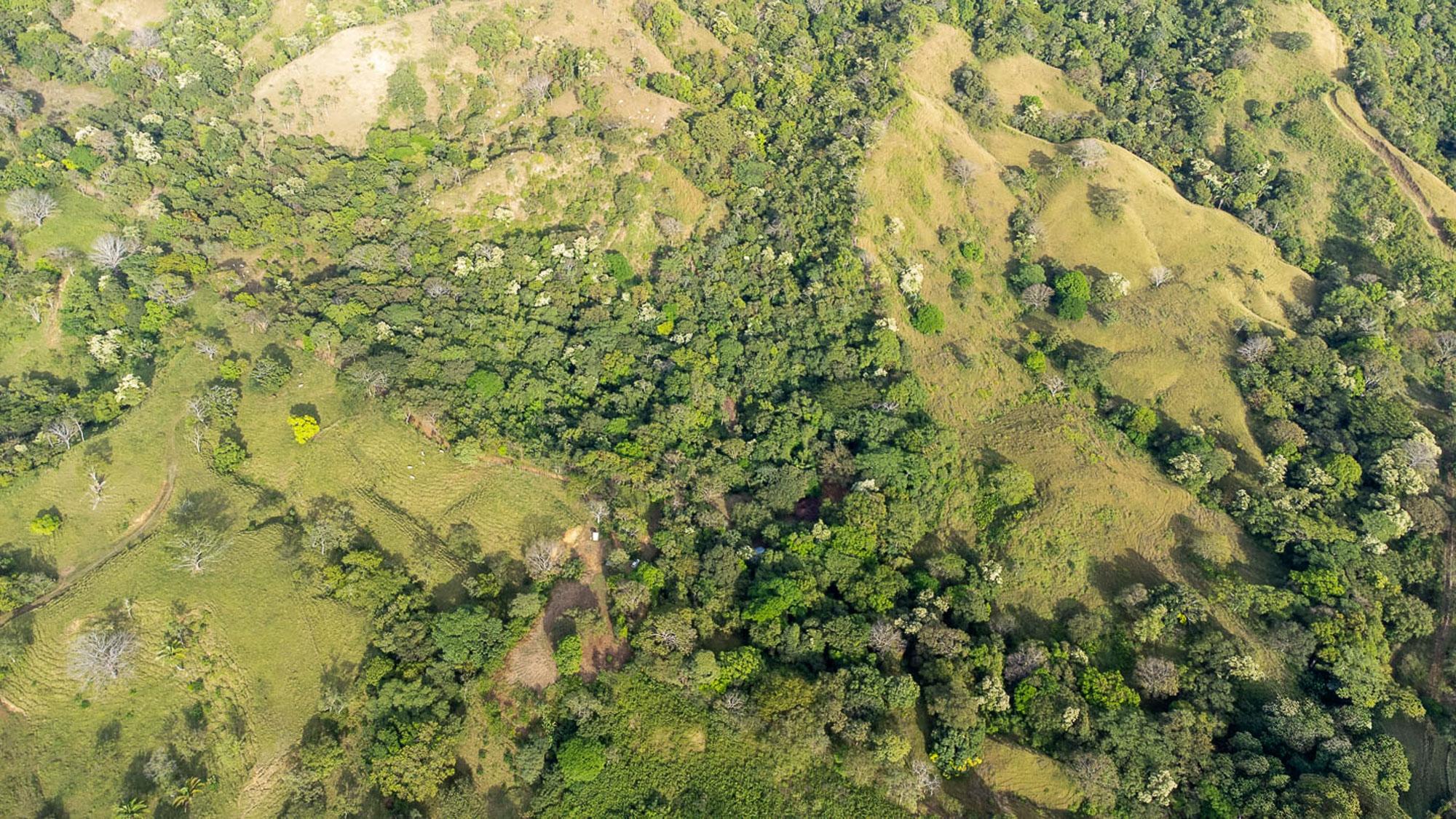 CAMBUTAL LUSH PROPERTY FOR SALE NEAR TOWN