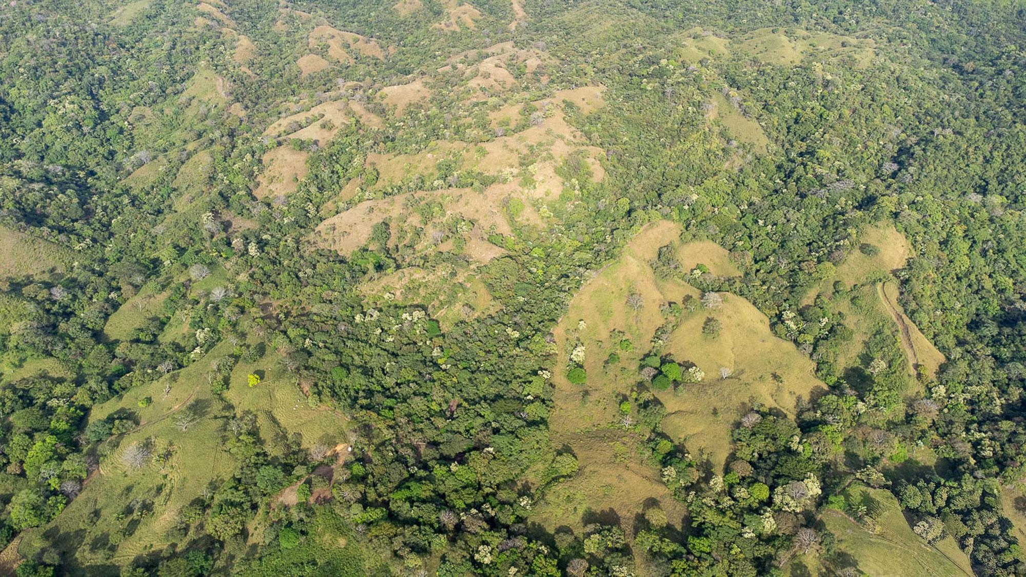 CAMBUTAL LUSH PROPERTY FOR SALE NEAR TOWN