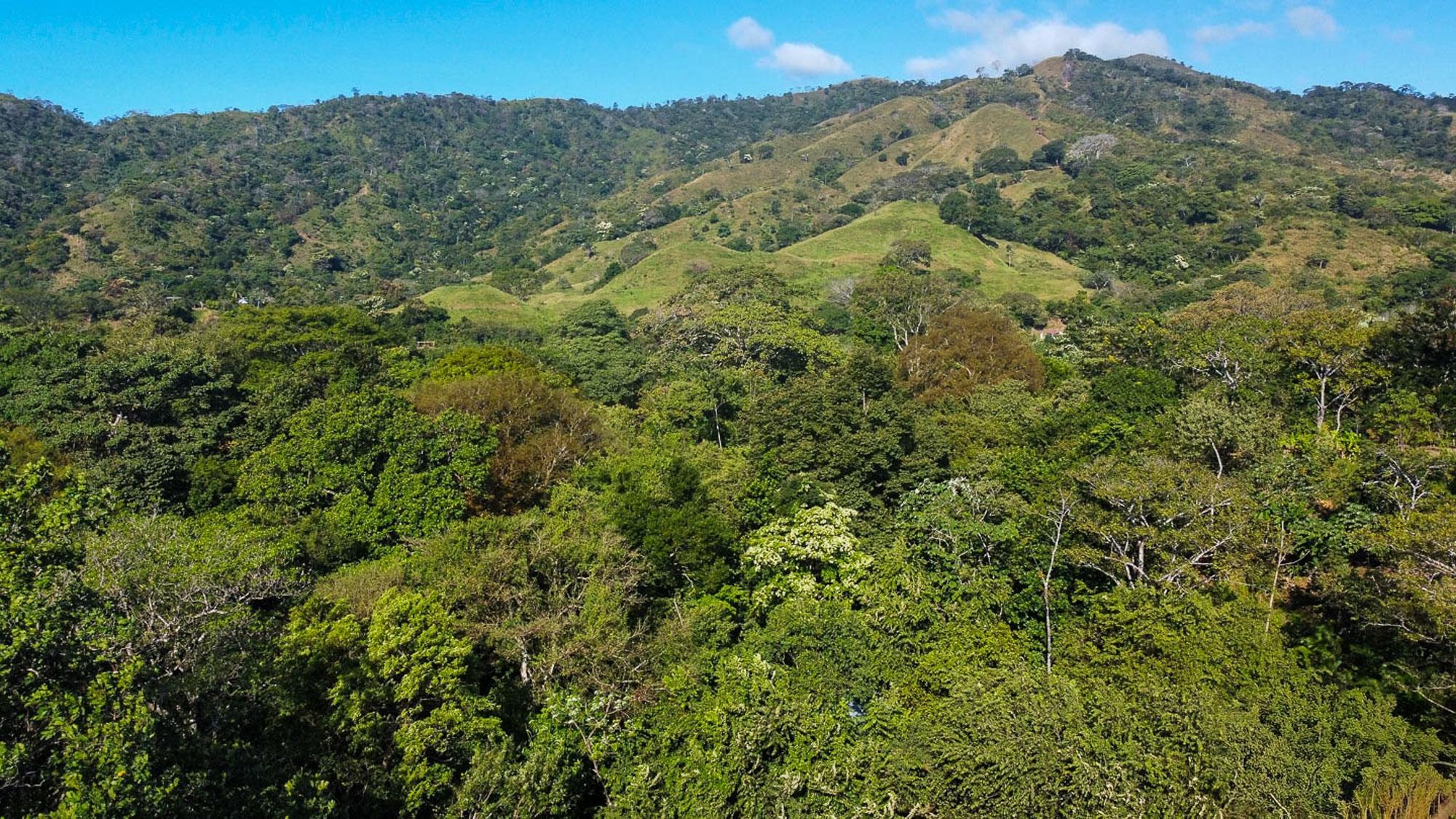 CAMBUTAL LUSH PROPERTY FOR SALE NEAR TOWN
