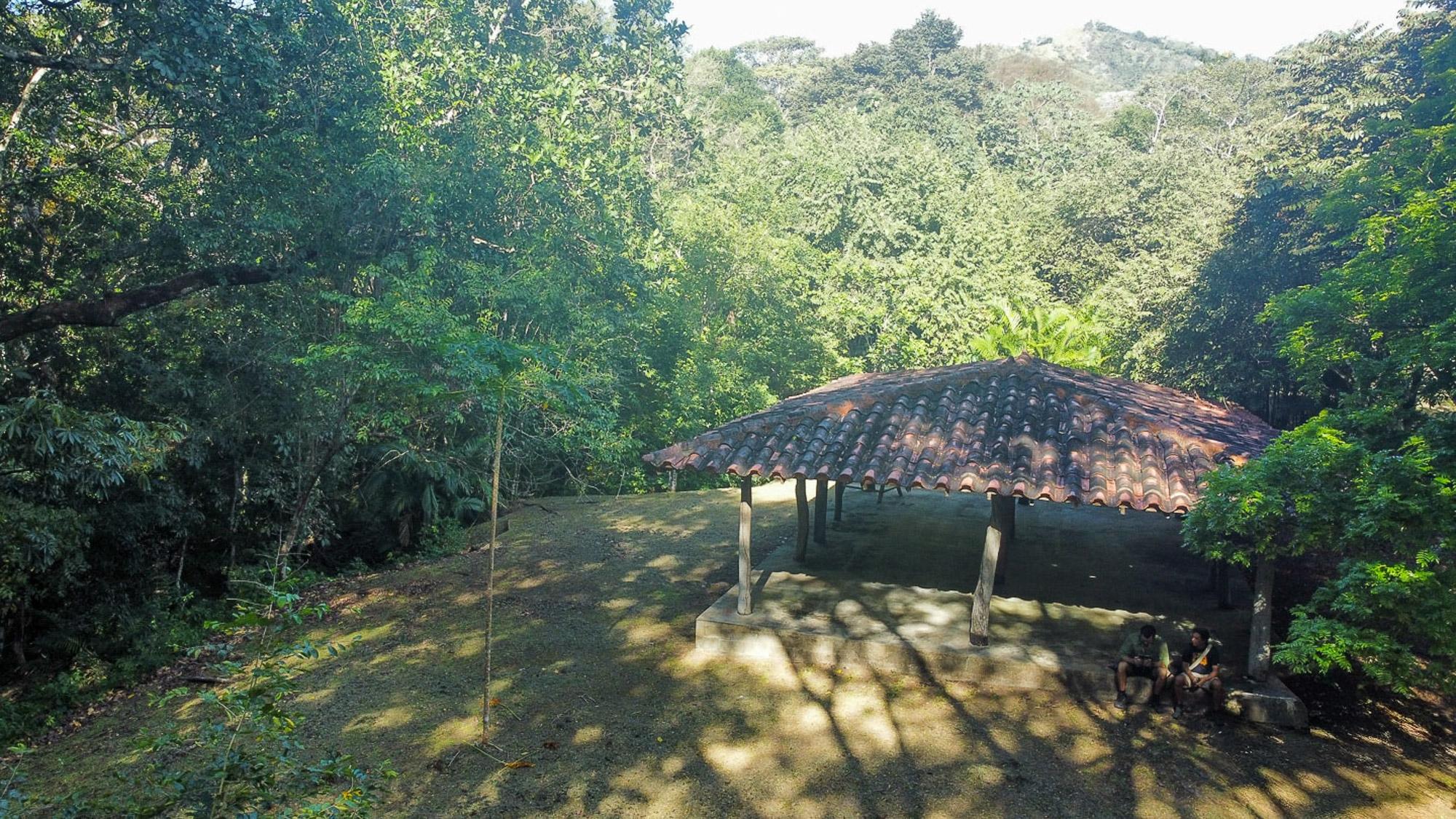 CAMBUTAL LUSH PROPERTY FOR SALE NEAR TOWN