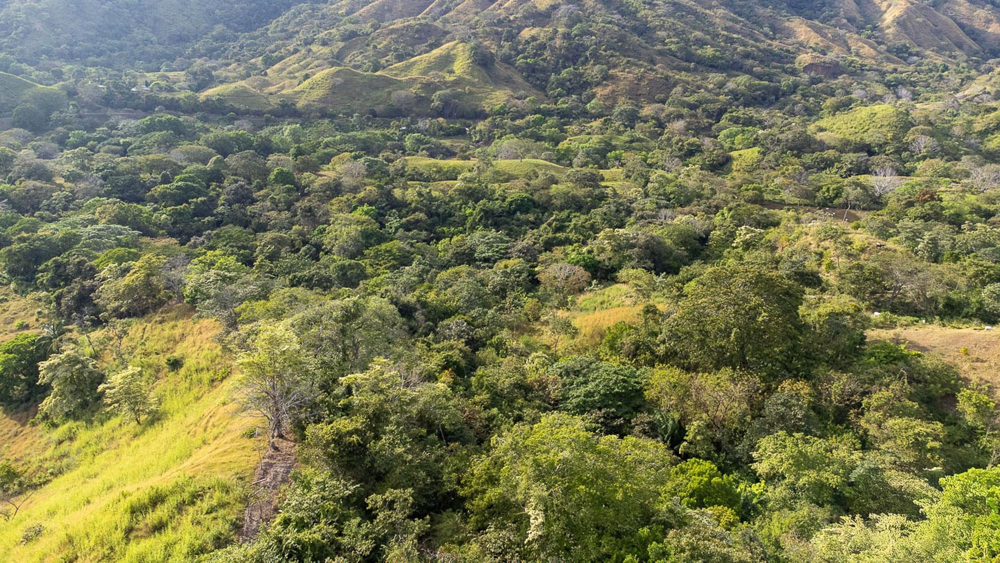 CAMBUTAL LUSH PROPERTY FOR SALE NEAR TOWN