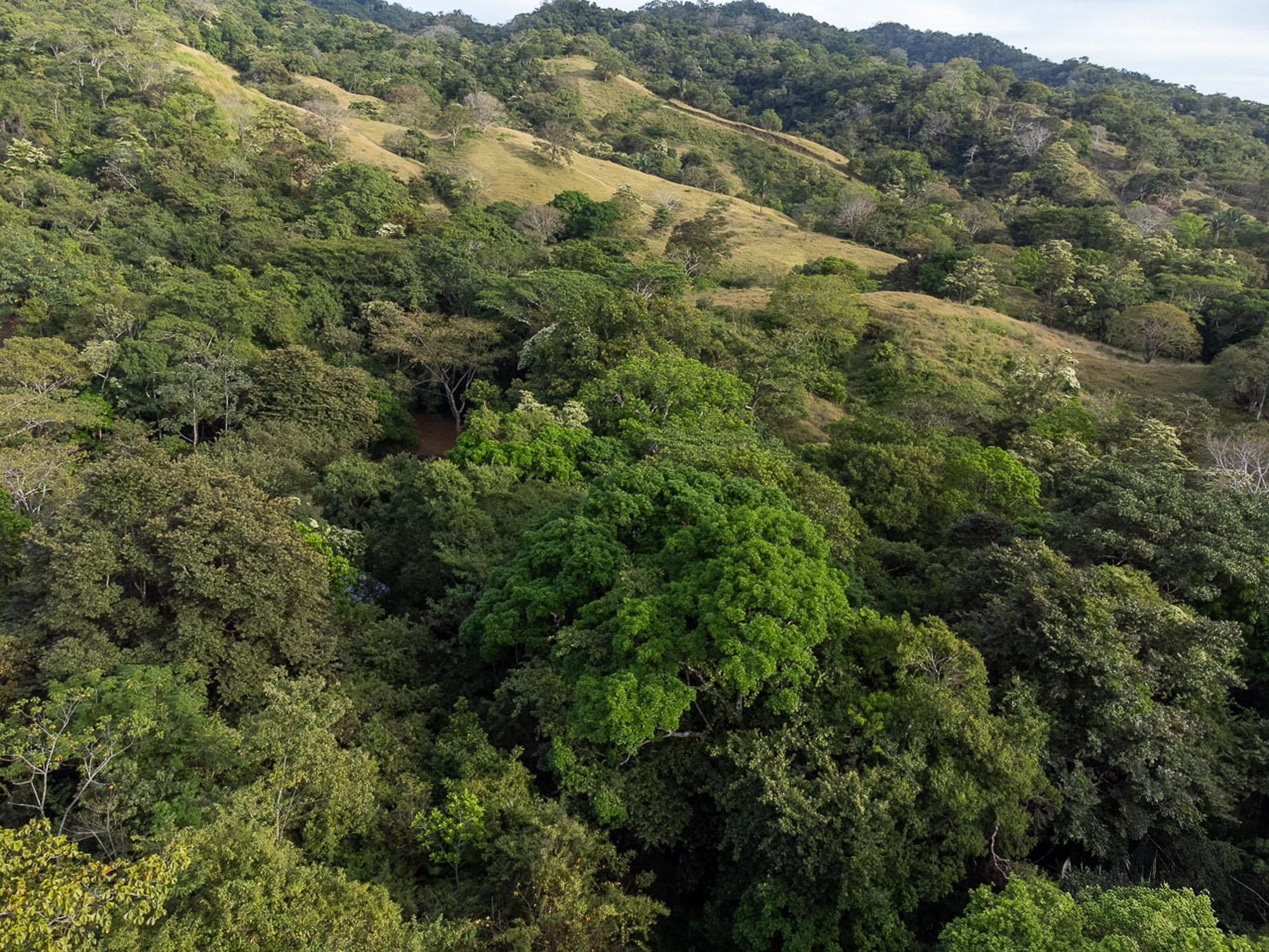 CAMBUTAL LUSH PROPERTY FOR SALE NEAR TOWN