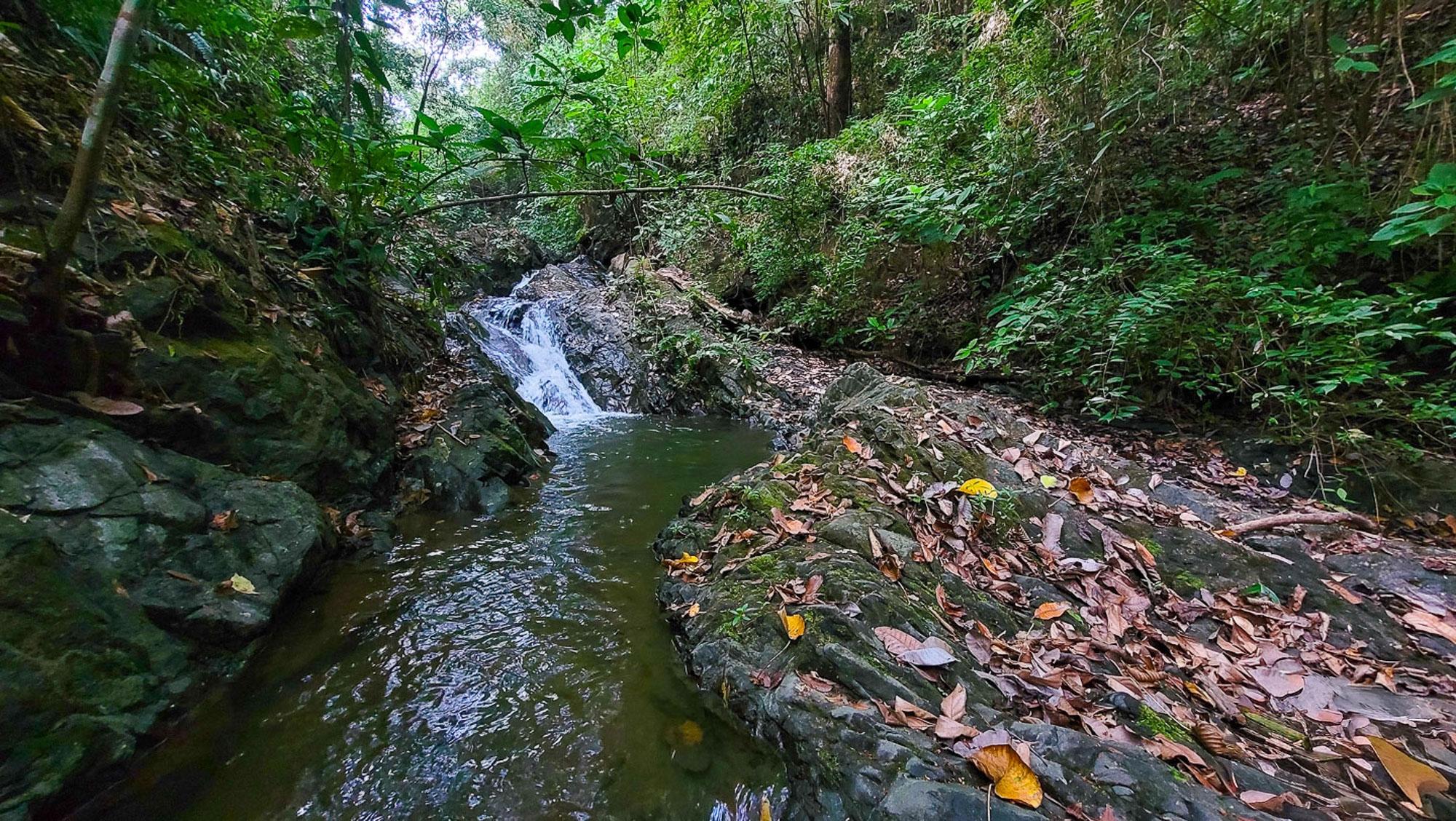CAMBUTAL LUSH PROPERTY FOR SALE NEAR TOWN
