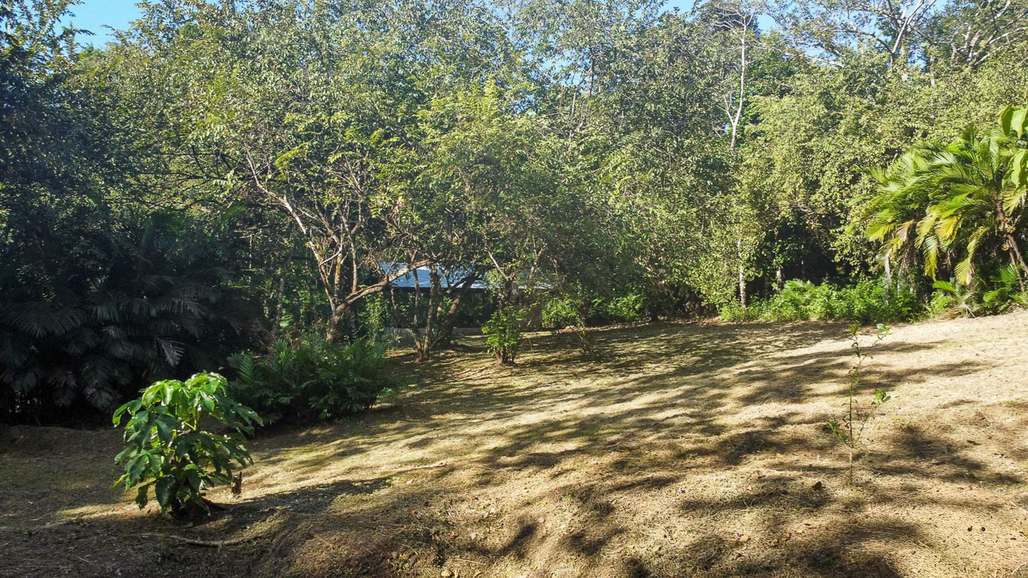 CAMBUTAL LUSH PROPERTY FOR SALE NEAR TOWN