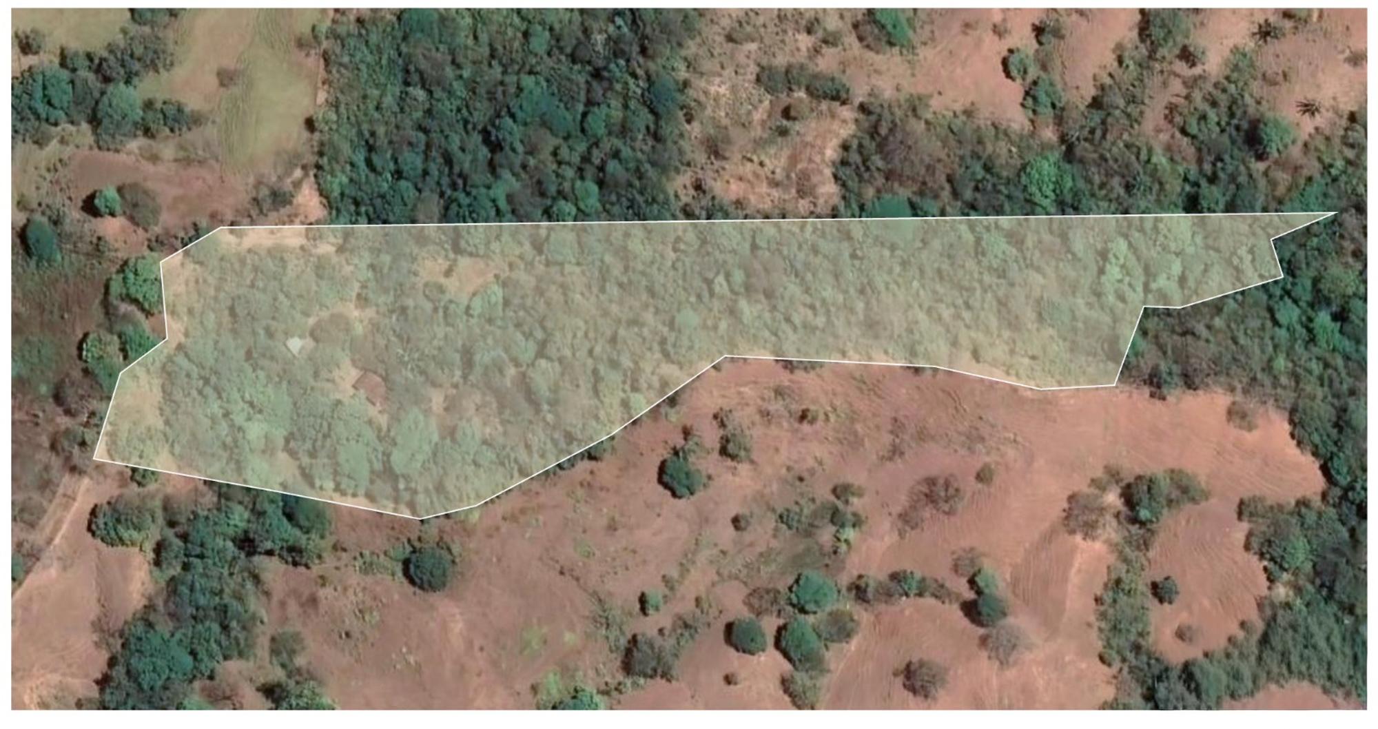 CAMBUTAL LUSH PROPERTY FOR SALE NEAR TOWN