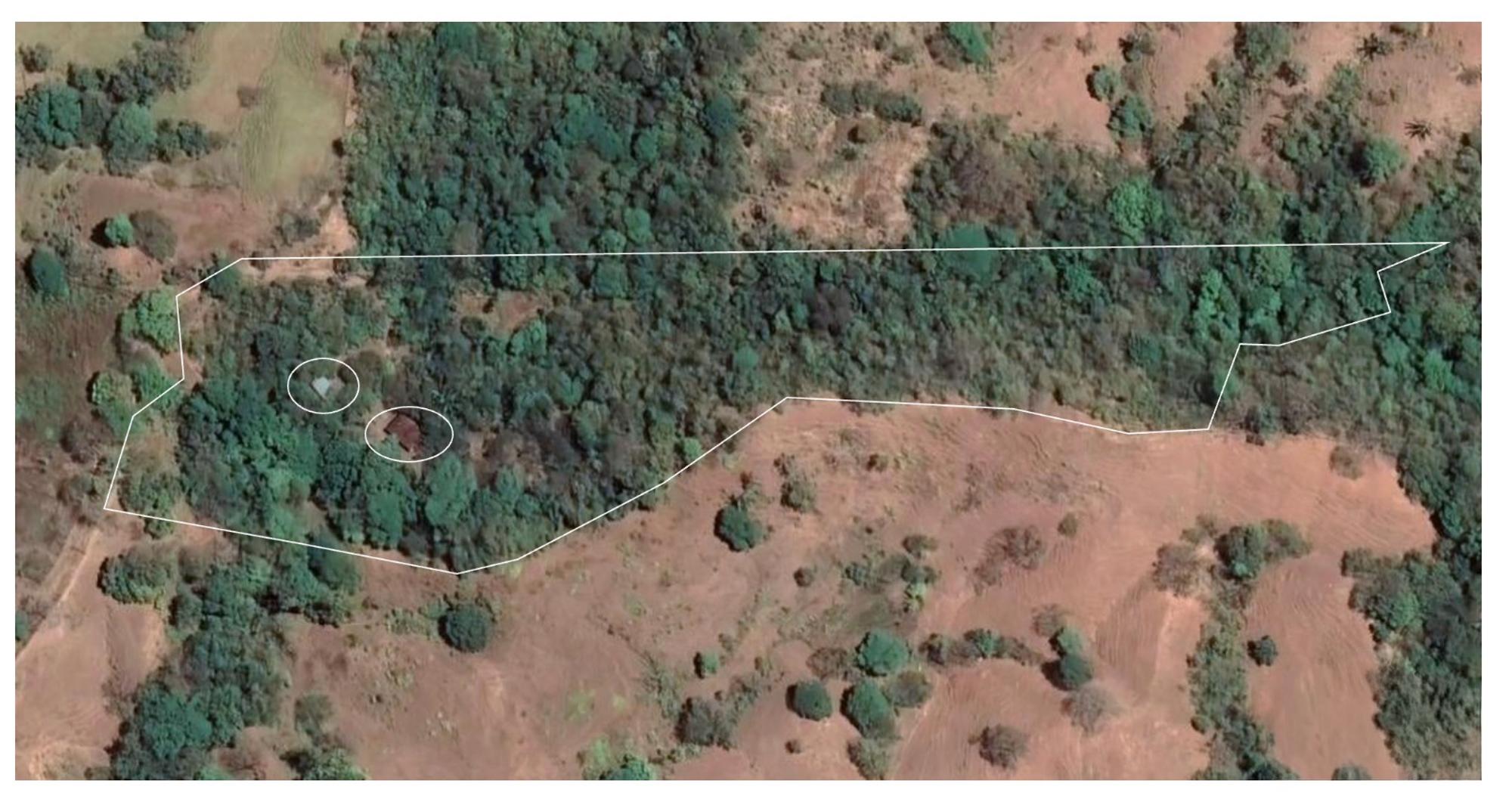 CAMBUTAL LUSH PROPERTY FOR SALE NEAR TOWN