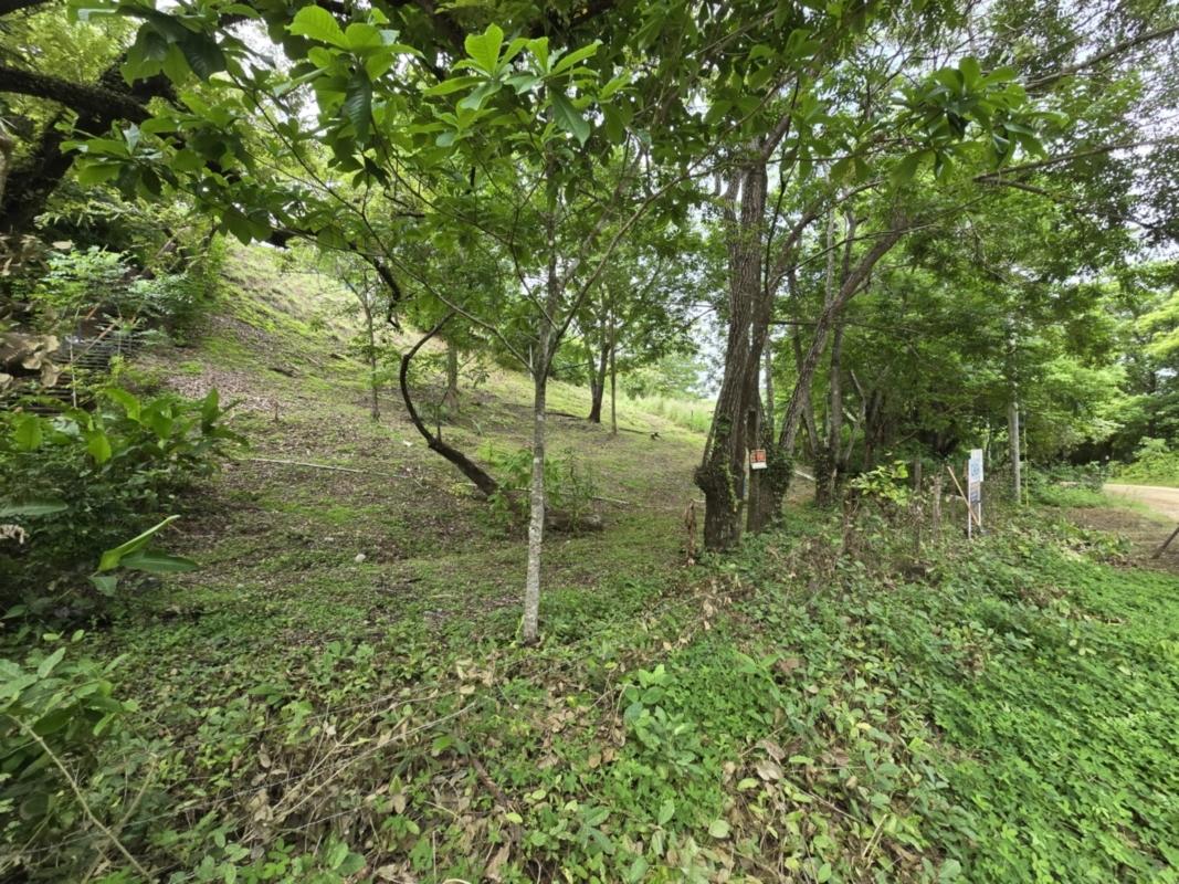 CENTRALLY-LOCATED LOT WITH 2 RENTAL STUDIOS