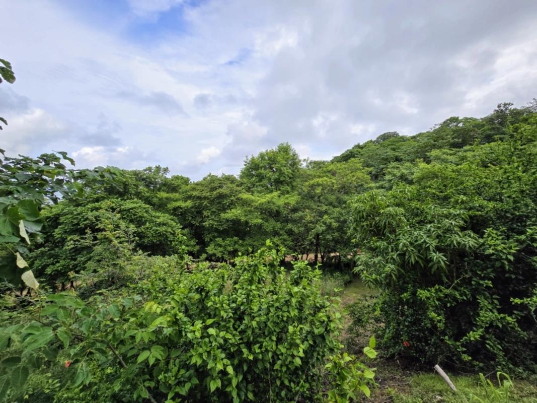 CENTRALLY-LOCATED LOT WITH 2 RENTAL STUDIOS