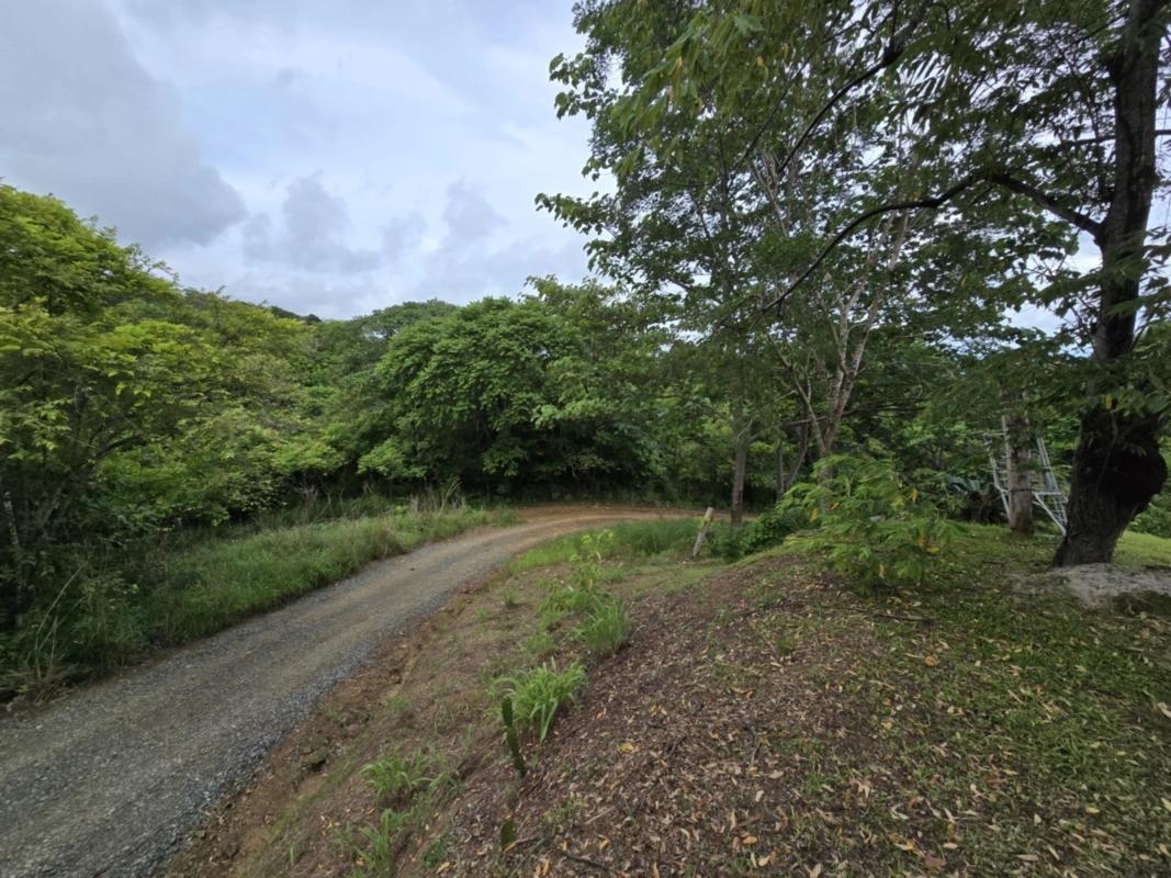 CENTRALLY-LOCATED LOT WITH 2 RENTAL STUDIOS