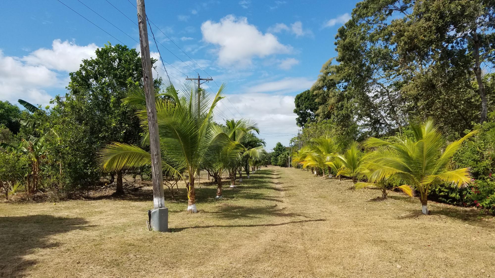 1.4 hectares lot with a country house in Rio Hato