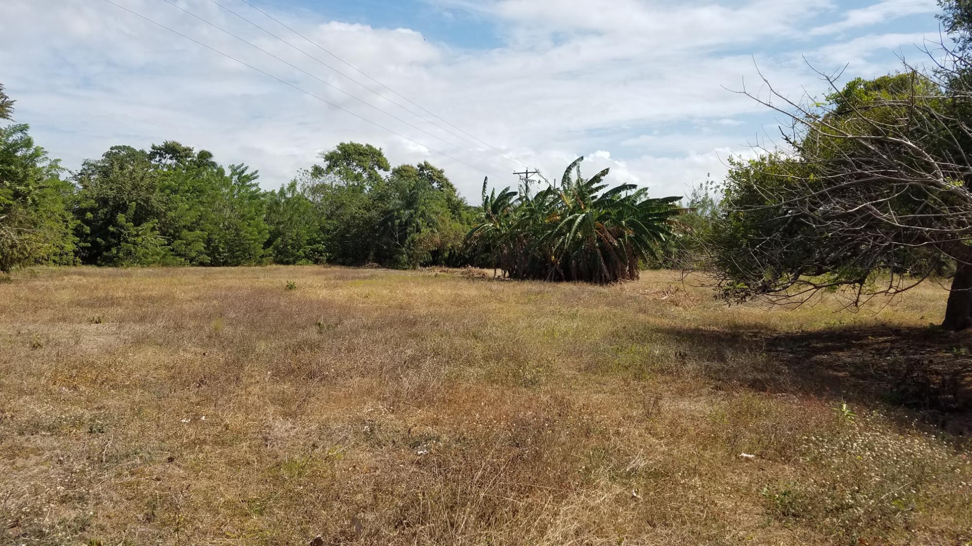 1.4 hectares lot with a country house in Rio Hato