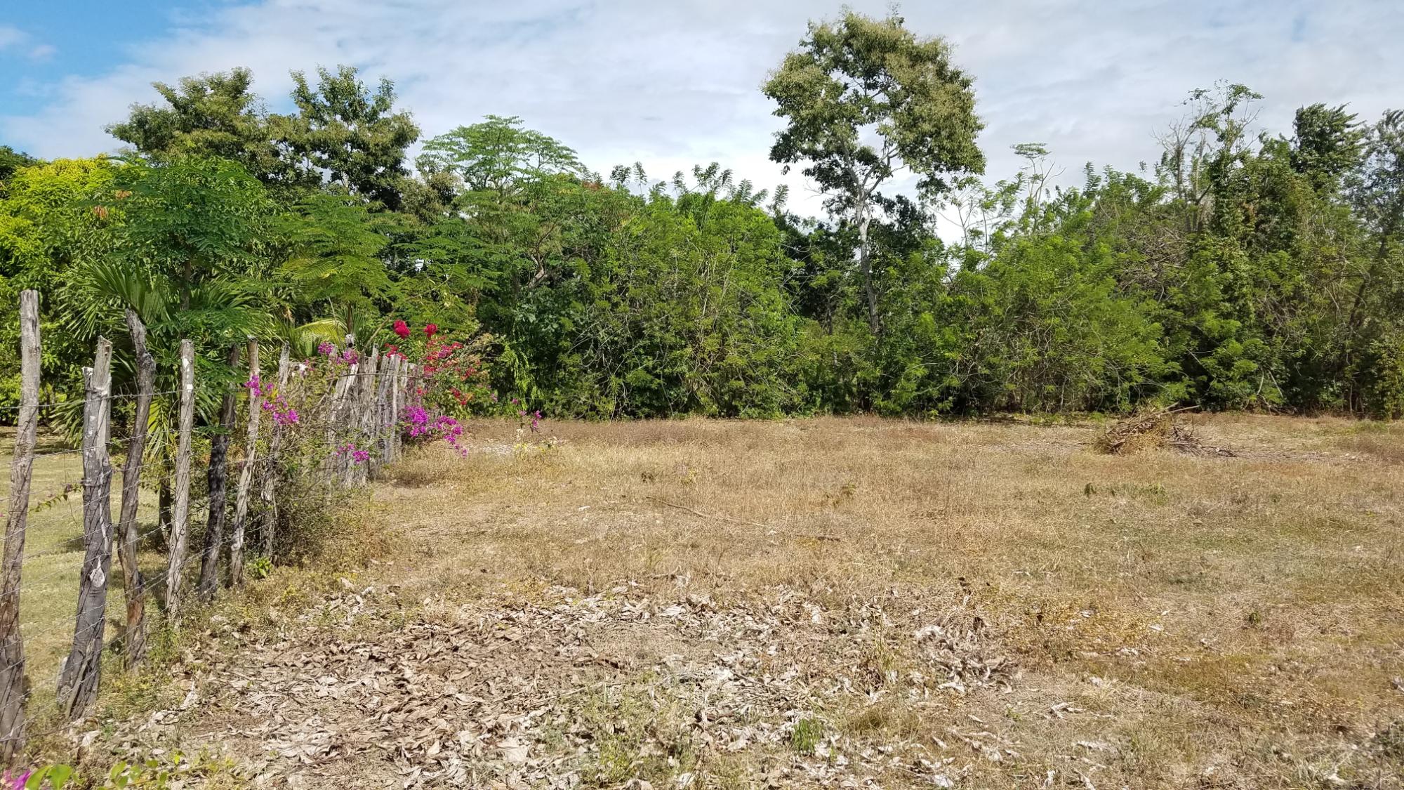 1.4 hectares lot with a country house in Rio Hato