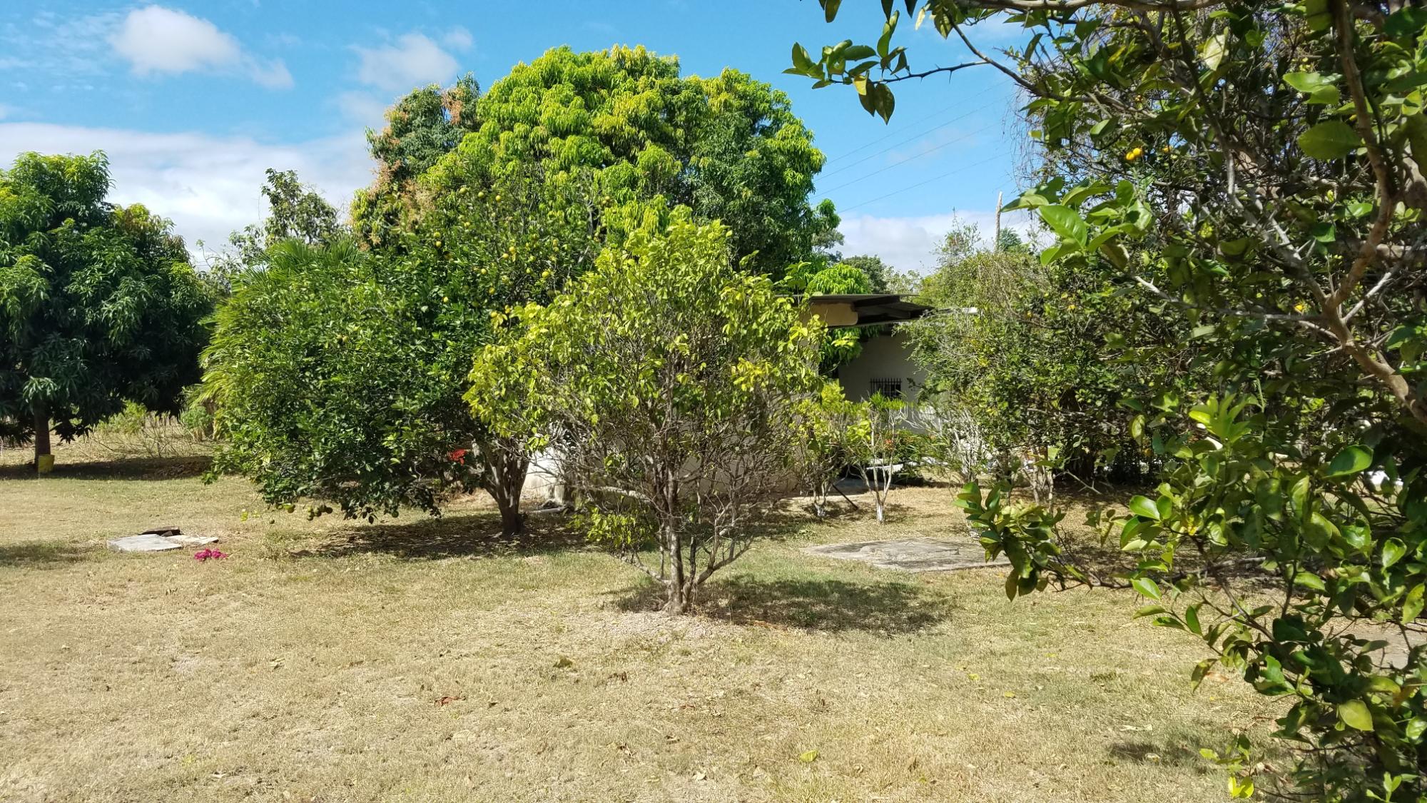1.4 hectares lot with a country house in Rio Hato