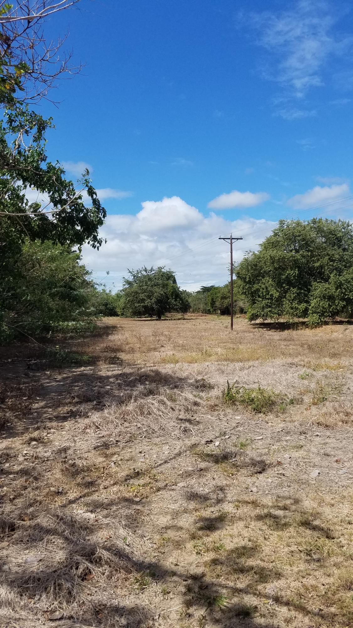 1.4 hectares lot with a country house in Rio Hato