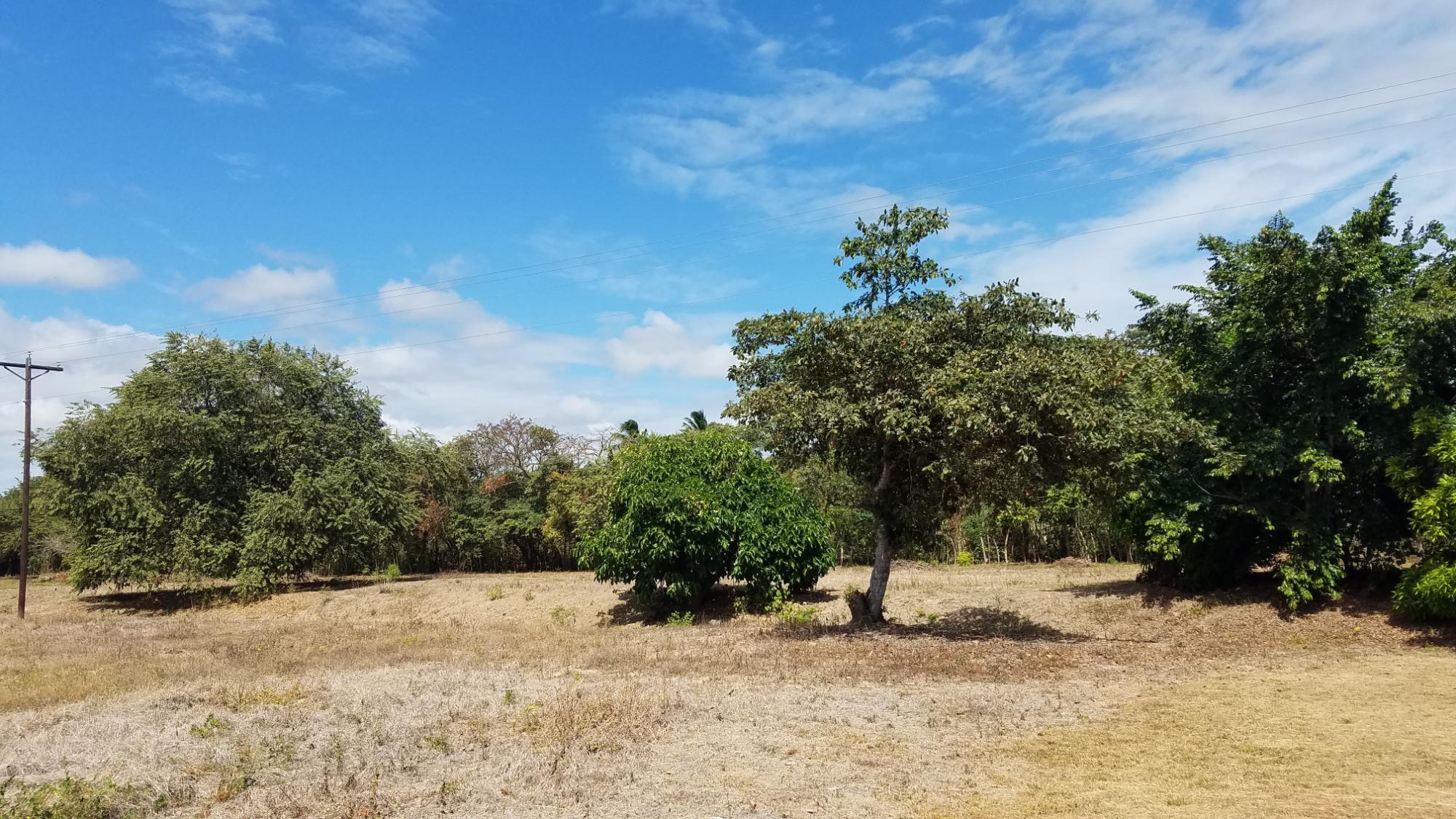 1.4 hectares lot with a country house in Rio Hato