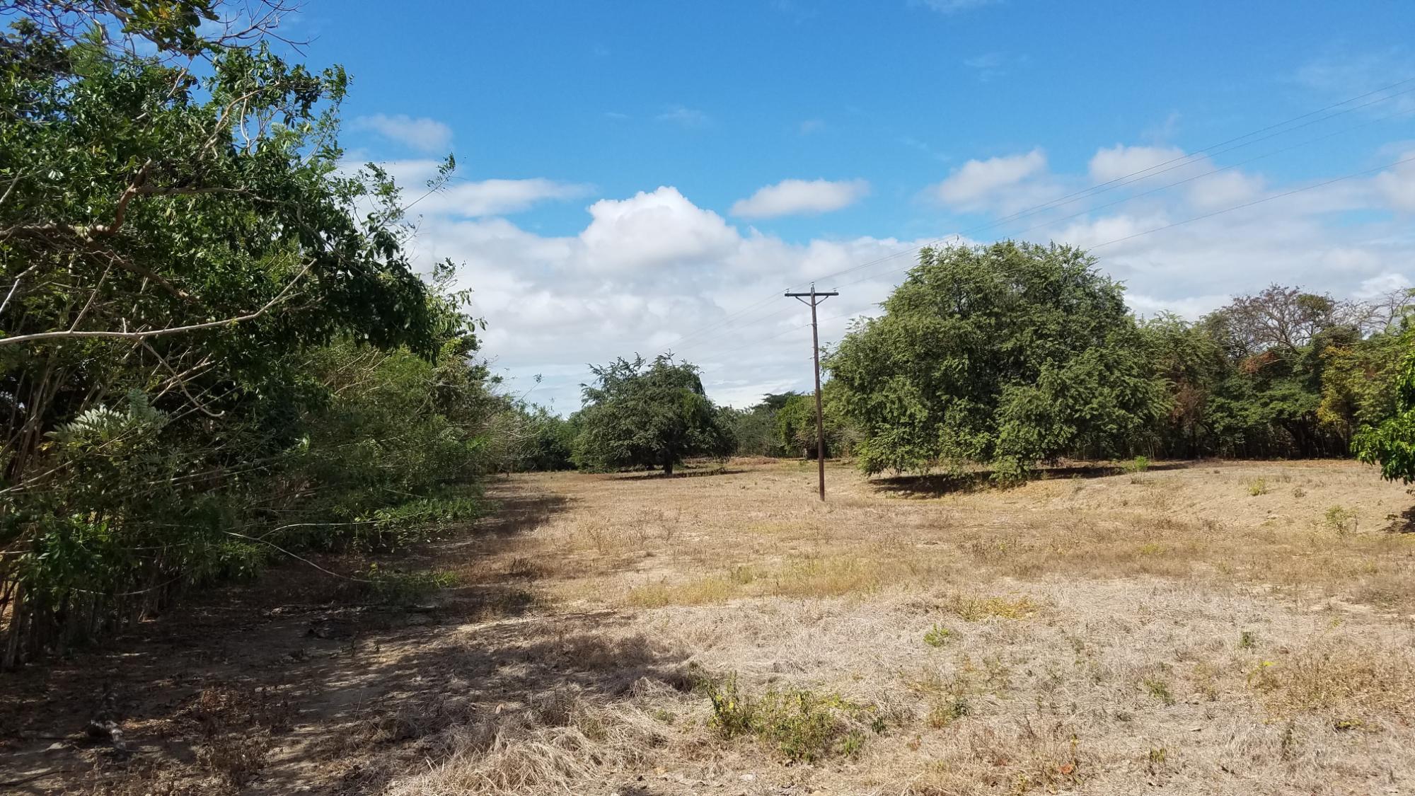 1.4 hectares lot with a country house in Rio Hato