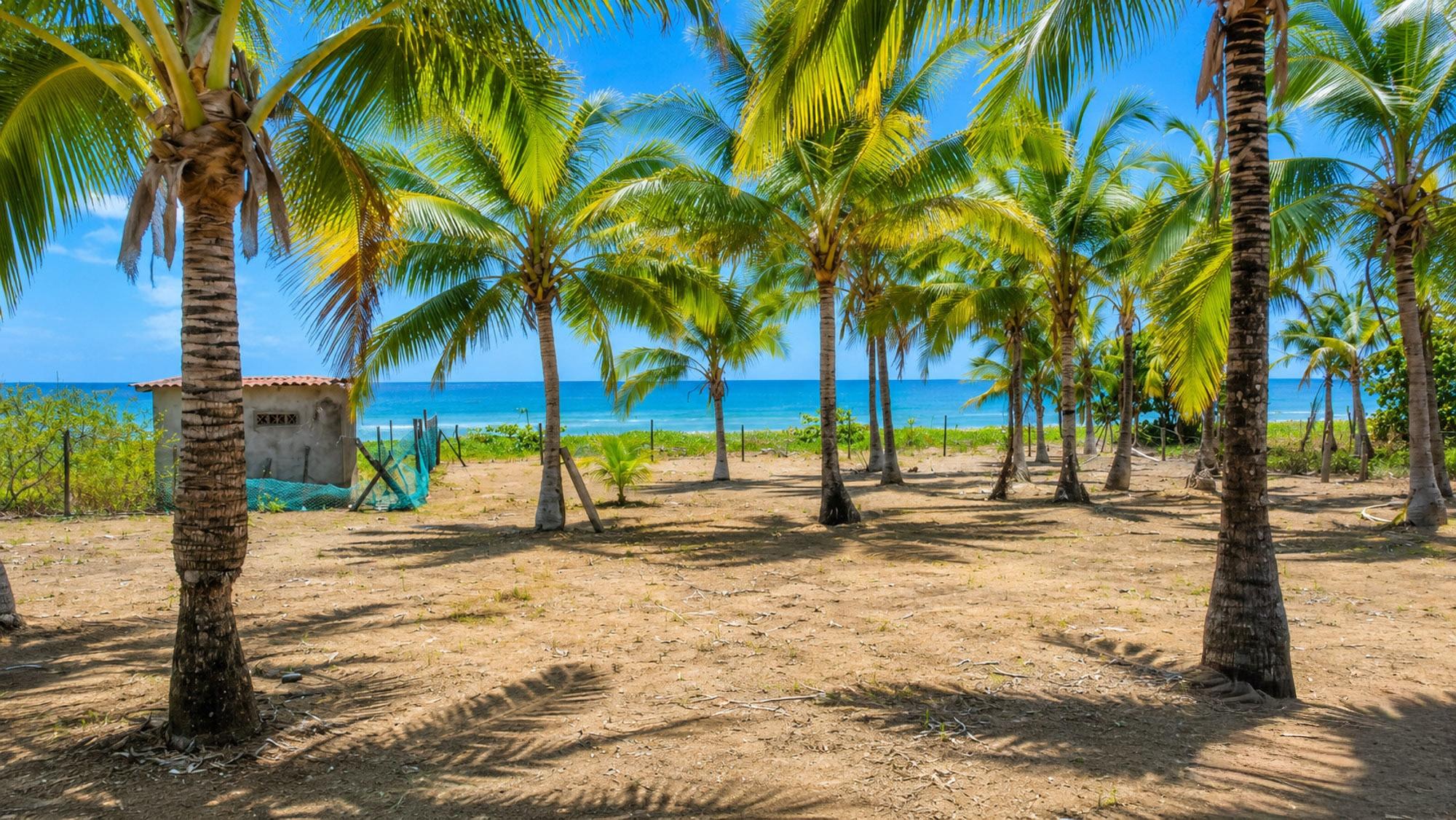 TITLED Central Beachfront Lot For Sale in Cambutal