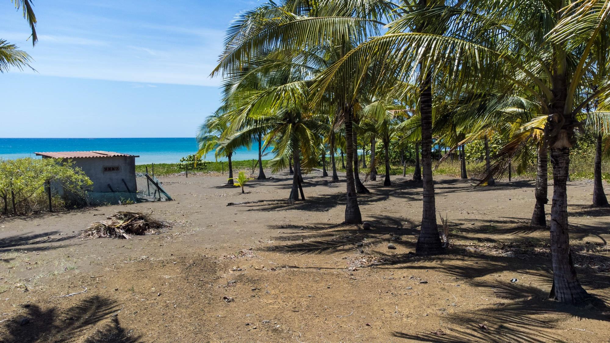 TITLED Central Beachfront Lot For Sale in Cambutal