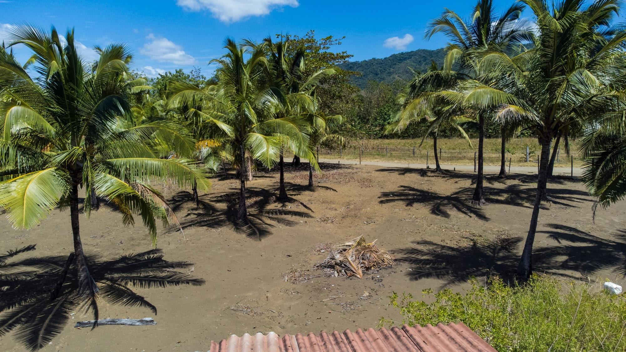 TITLED Central Beachfront Lot For Sale in Cambutal