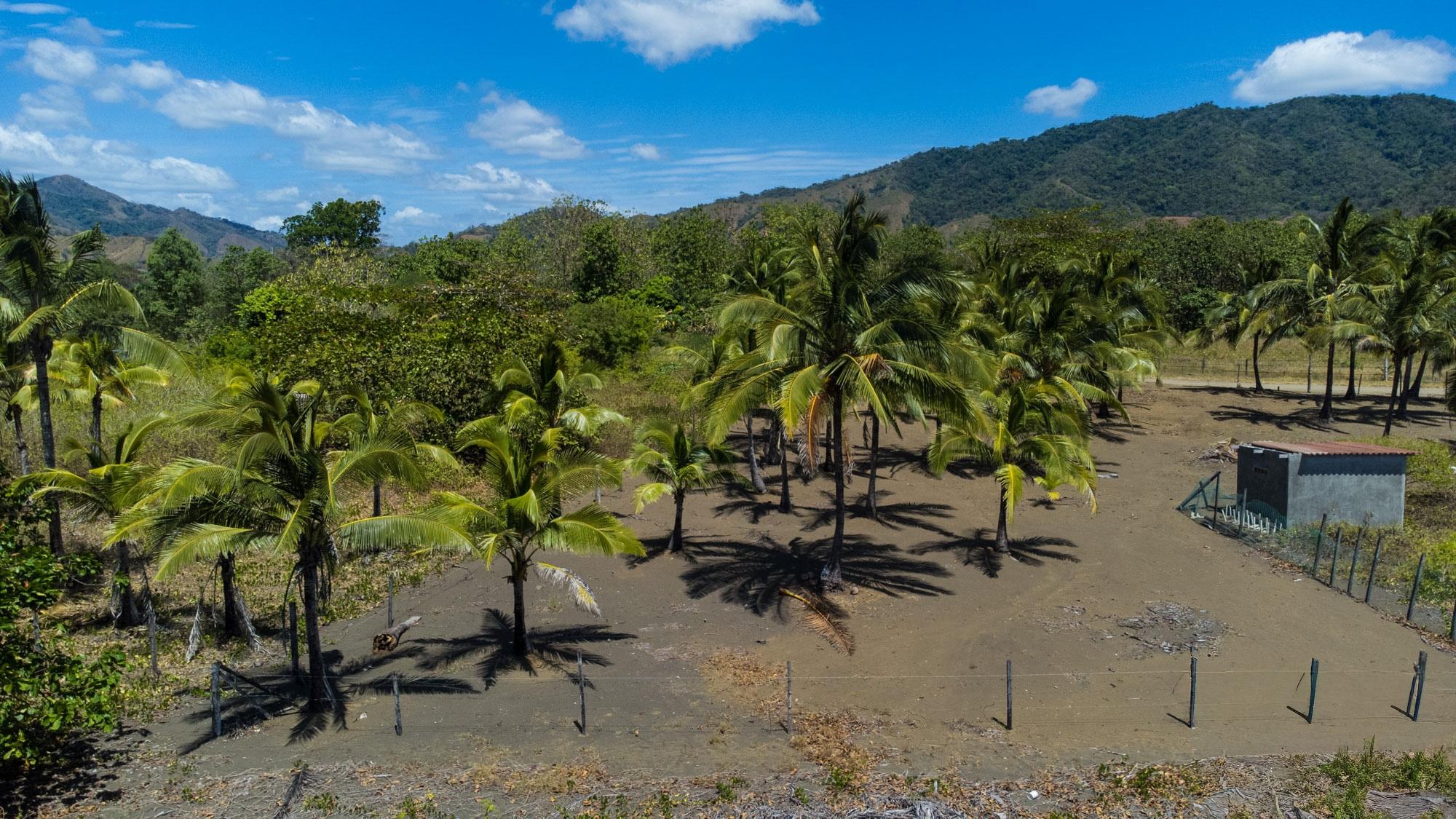 TITLED Central Beachfront Lot For Sale in Cambutal