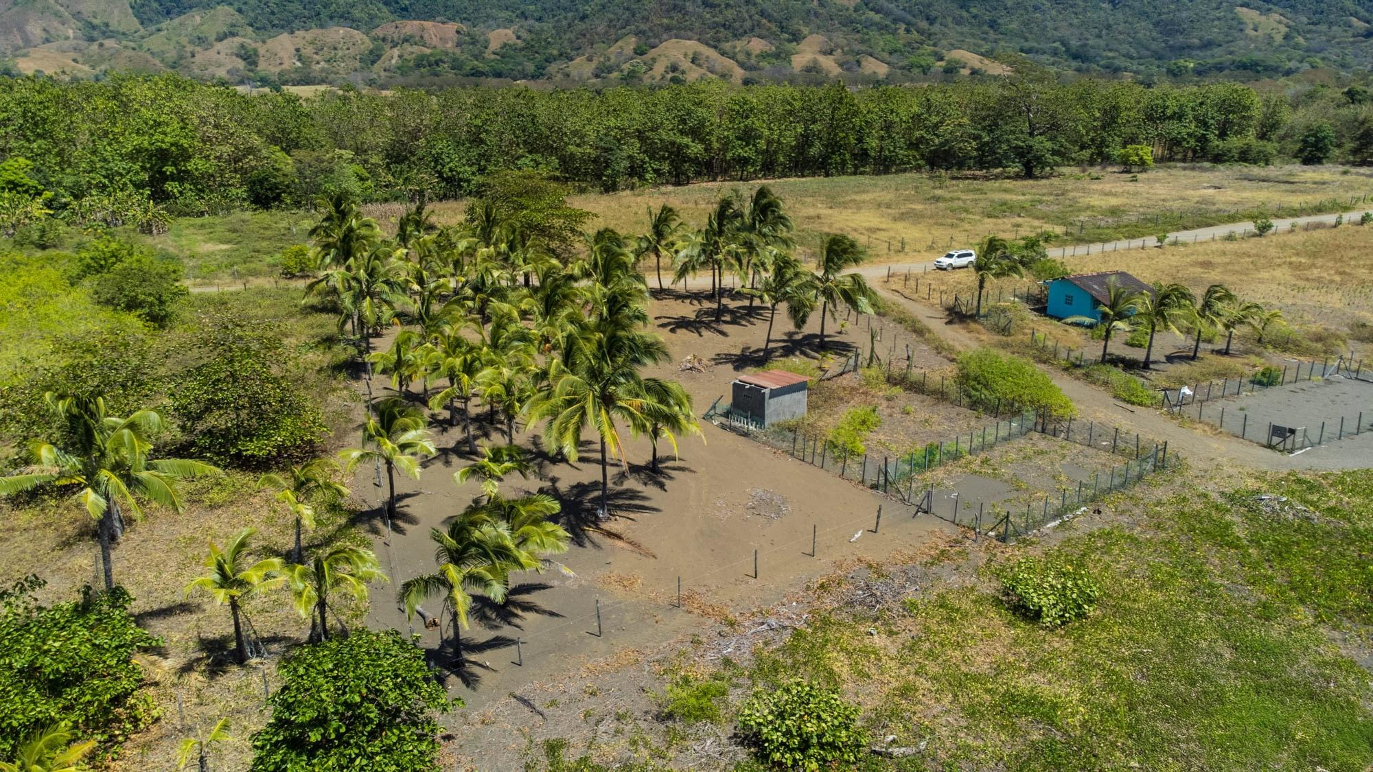 TITLED Central Beachfront Lot For Sale in Cambutal
