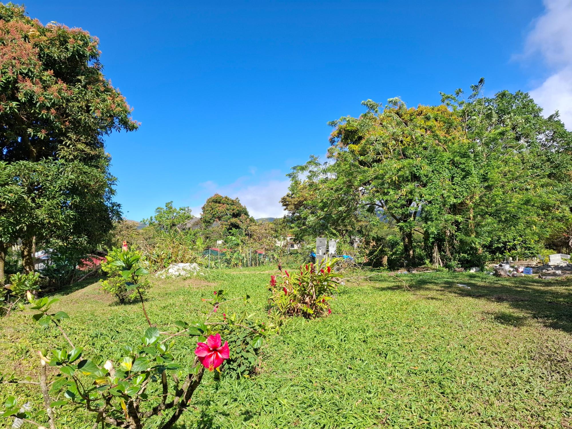 Exceptional Mountain Lot in El Valle de Antón!