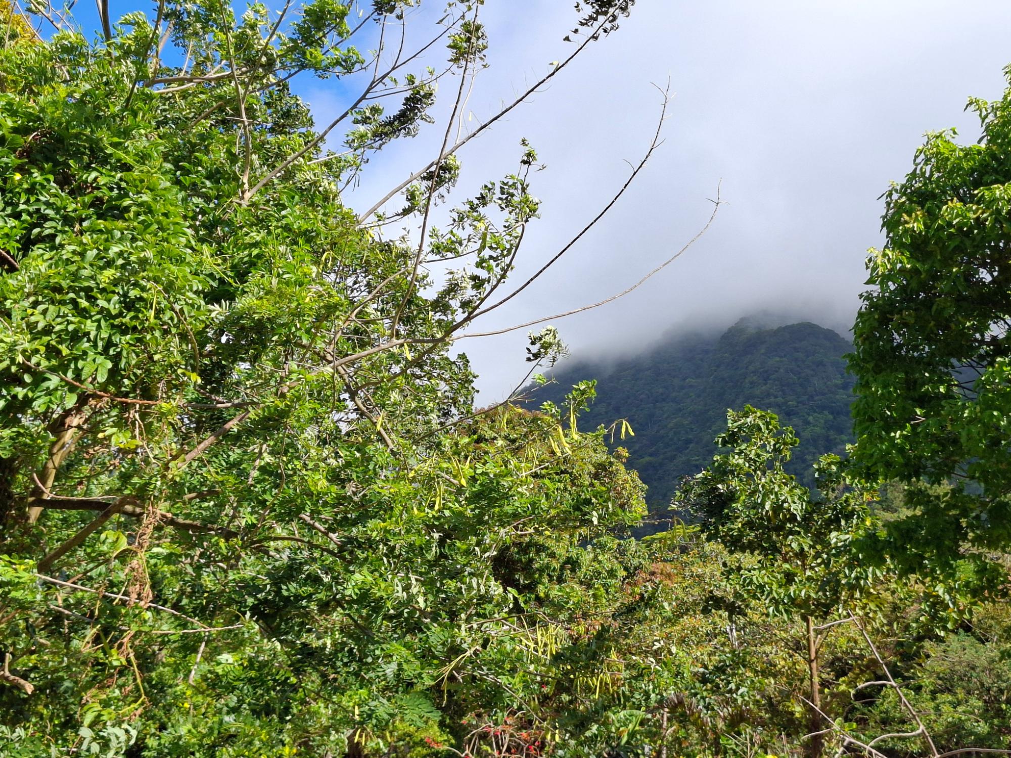 Exceptional Mountain Lot in El Valle de Antón!