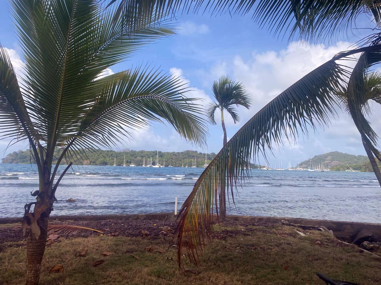 Caribbean Oceanfront Land in Panama