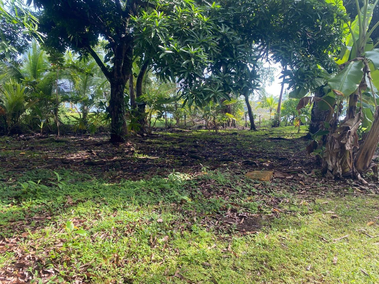 Caribbean Oceanfront Land in Panama