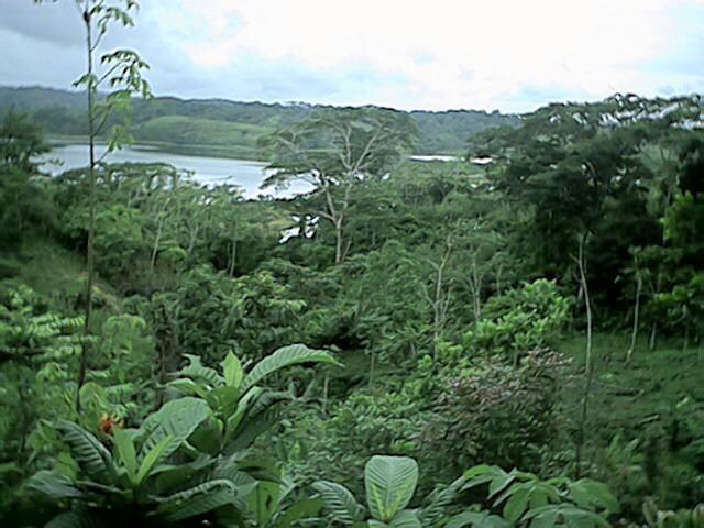 Farm for sale on the shores of Lake Gatún, Colón