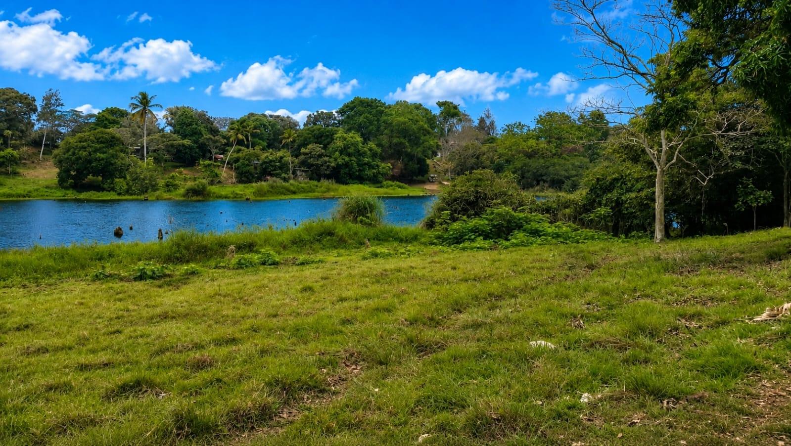 14.5 Hectare Lakefront Land on Gatun Lake, Arenosa