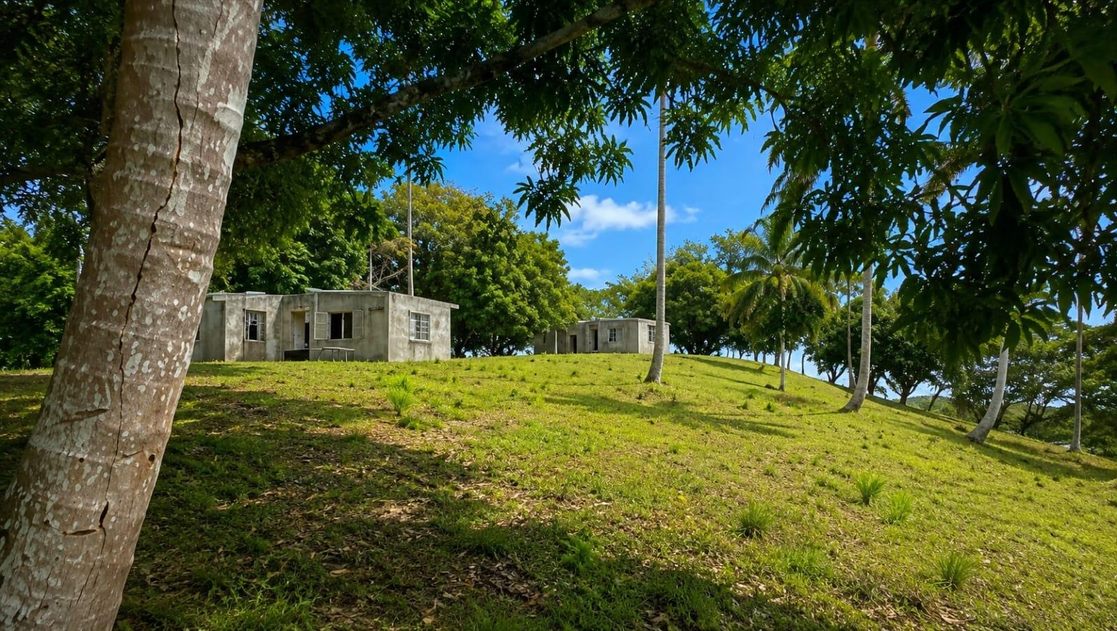 14.5 Hectare Lakefront Land on Gatun Lake, Arenosa