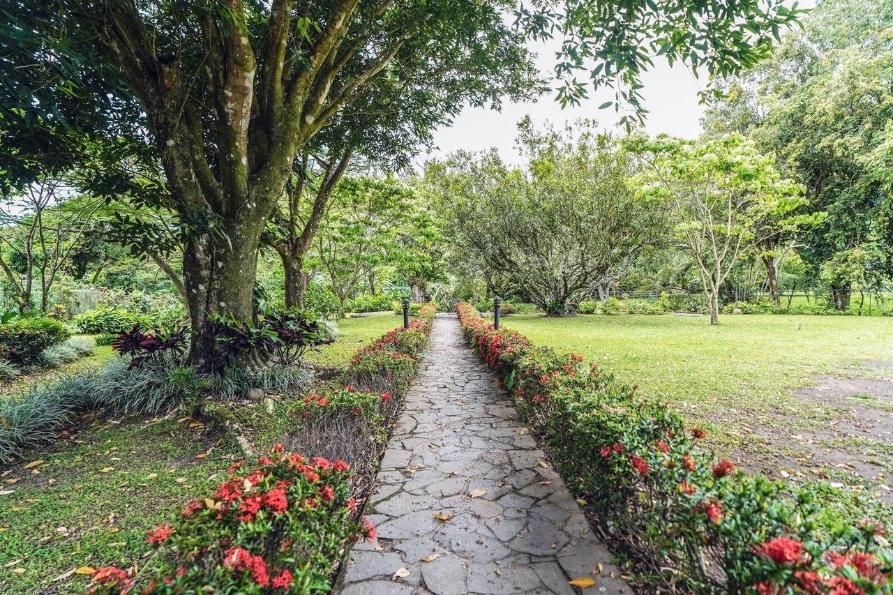 House for Sale in El Valle de Anton