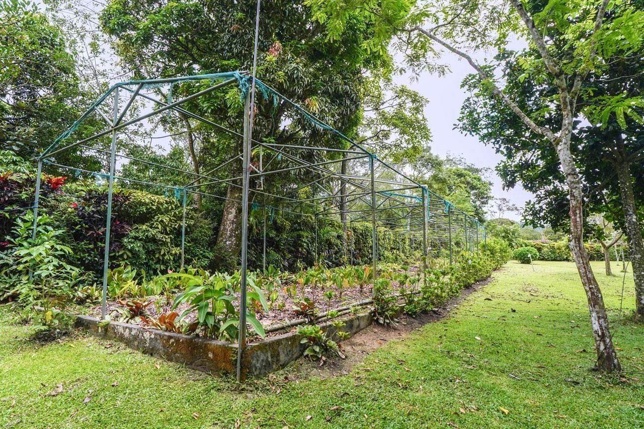 House for Sale in El Valle de Anton