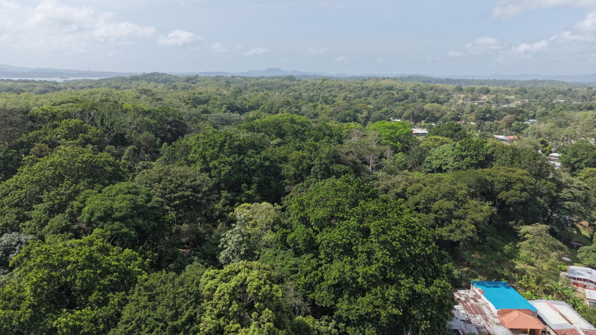 Land for sale in San Juan Colón