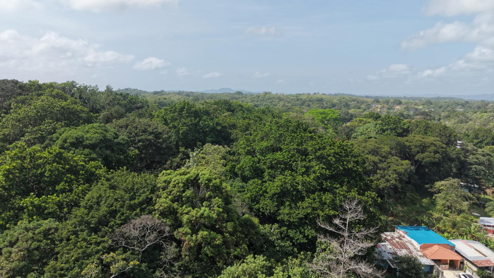 Land for sale in San Juan Colón