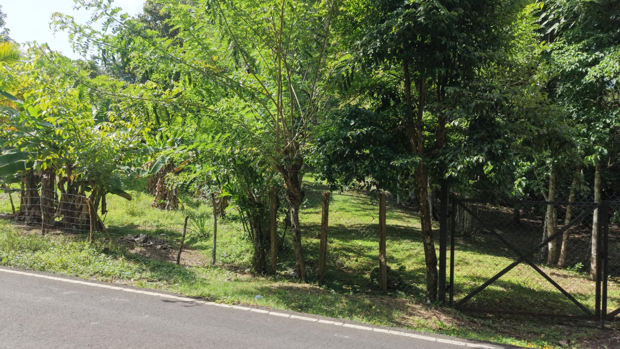 Land for sale in San Juan Colón