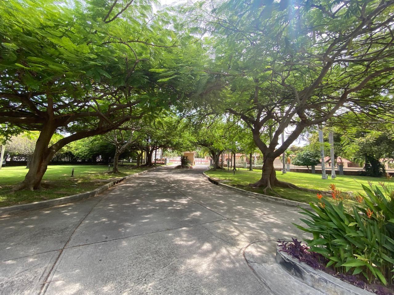 4 bedroom apartment in PH El Alcazar, Coronado