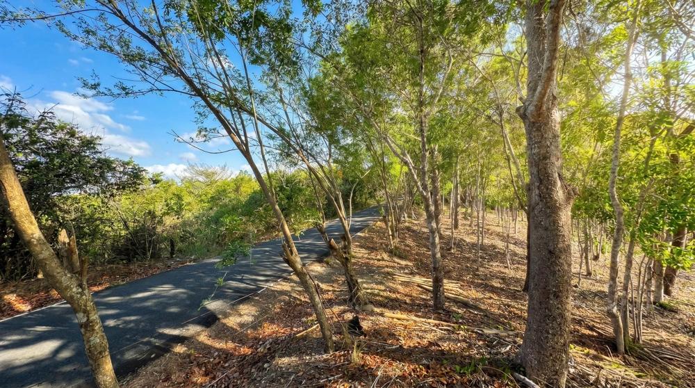 Over 17 Acres of Reforested Land With Riverfront