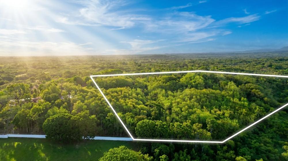 Over 17 Acres of Reforested Land With Riverfront
