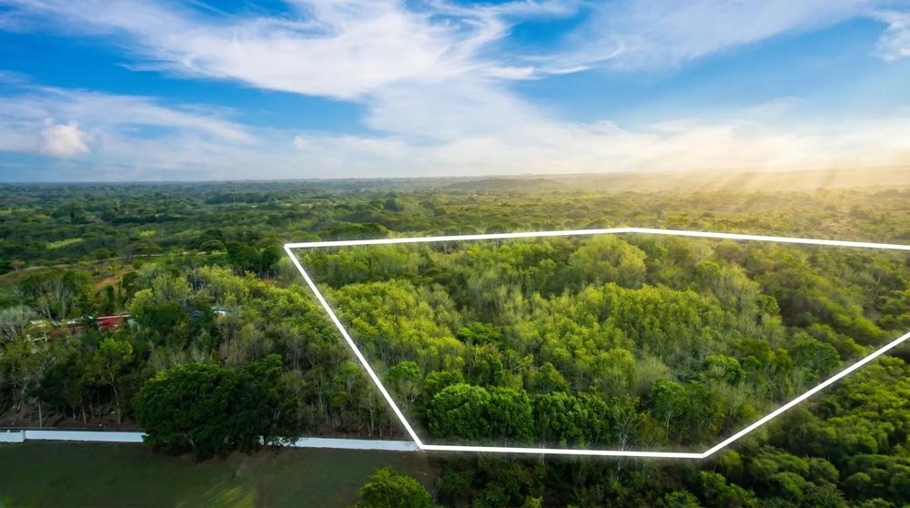 Over 17 Acres of Reforested Land With Riverfront