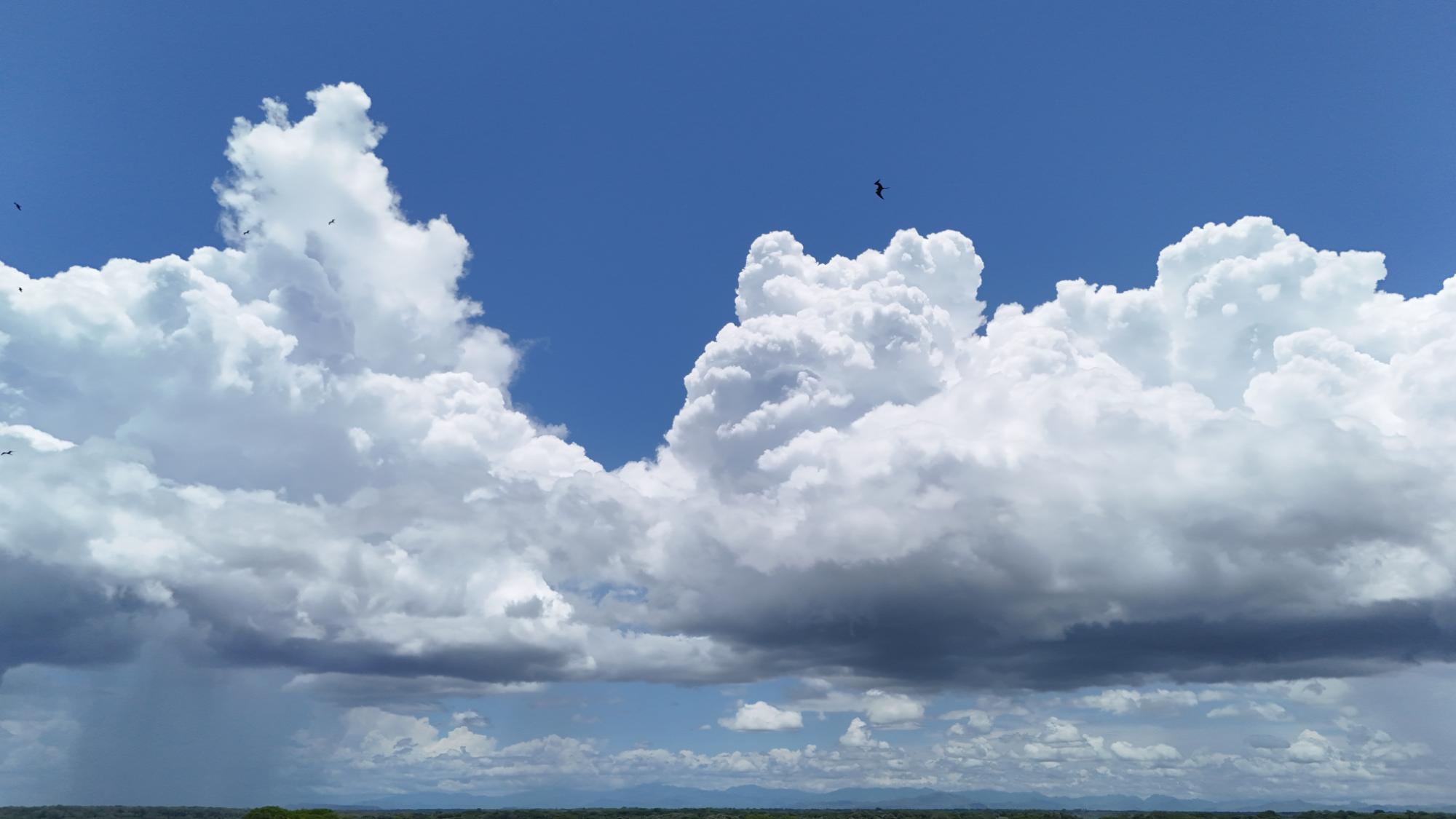 900 m² Oceanfront Lot in Playa del Pacifico