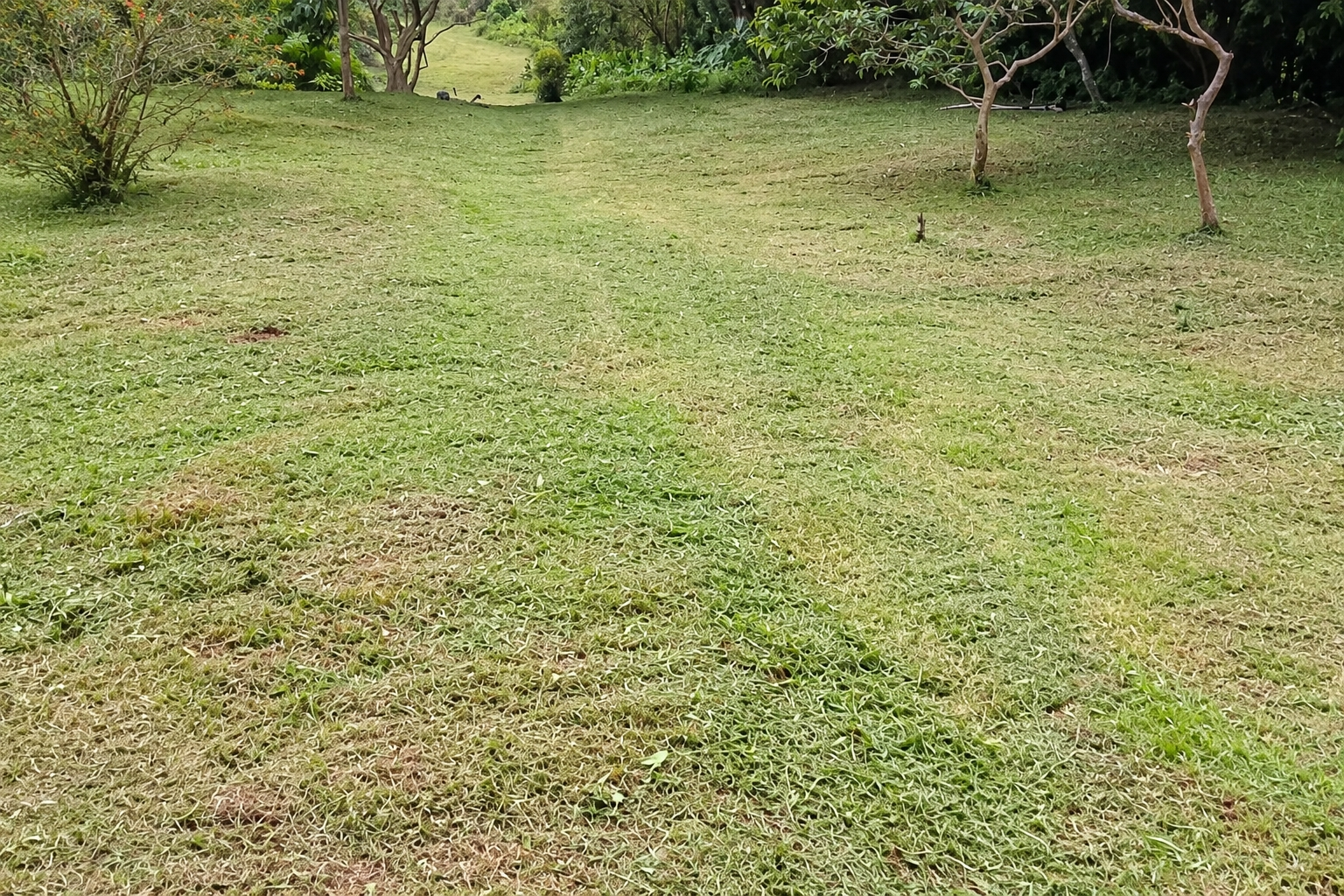 Ecotourism land for sale from El Valle de Antón