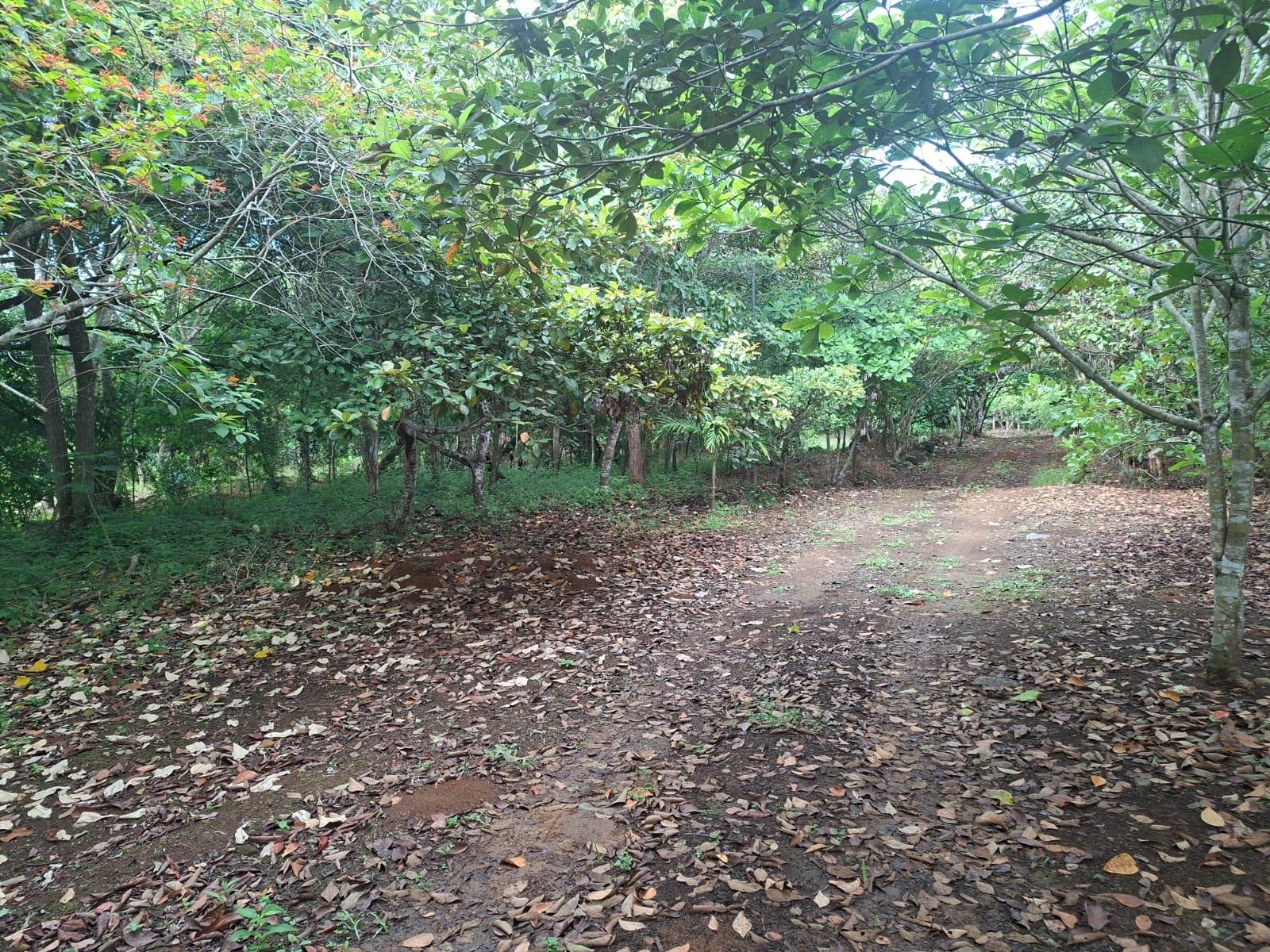 Excellent land with improvements via El Valle