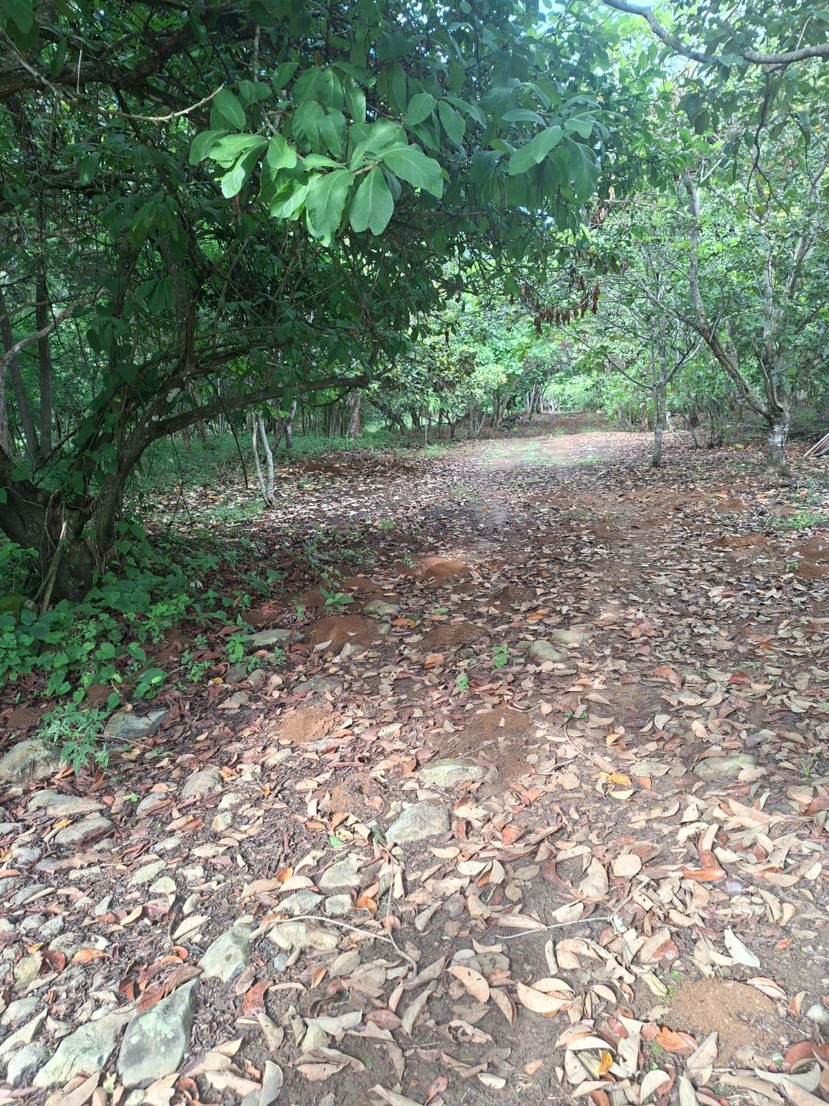 Excellent land with improvements via El Valle