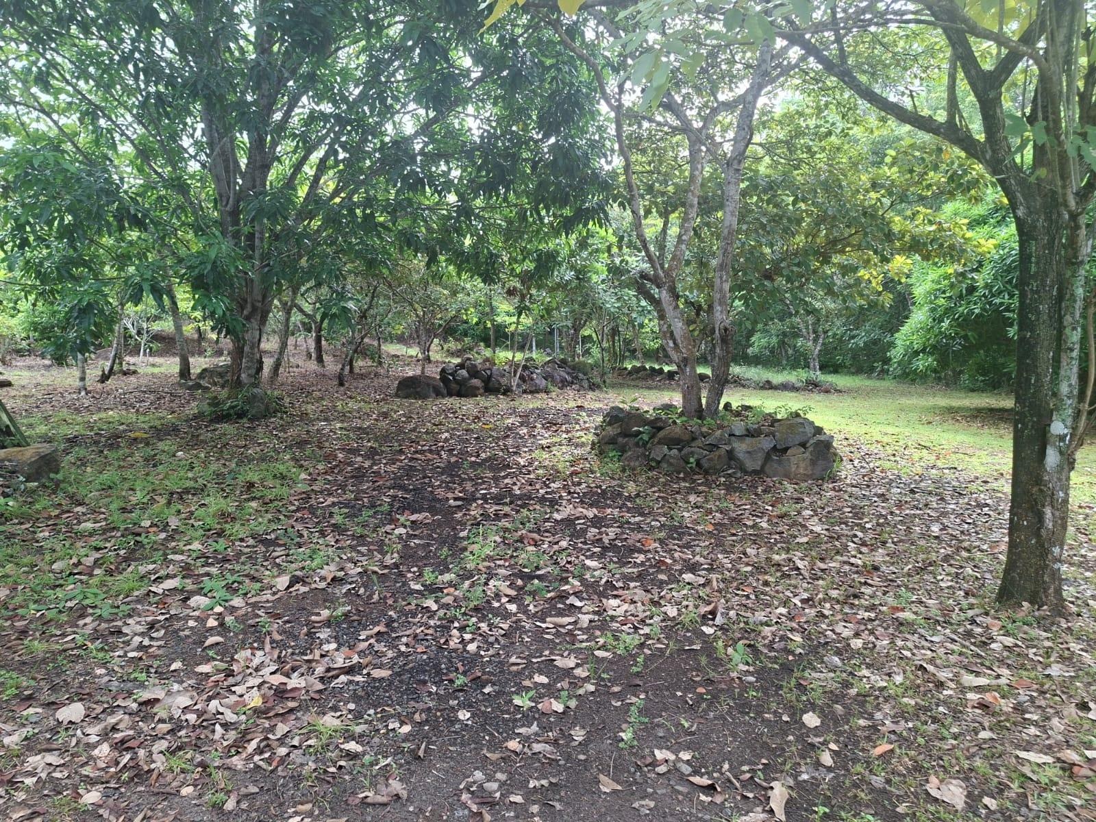Excellent land with improvements via El Valle