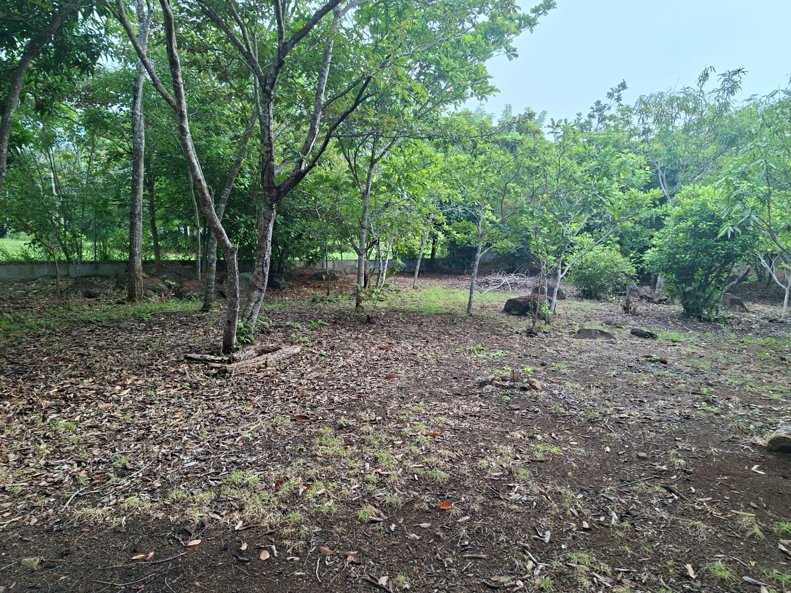 Excellent land with improvements via El Valle
