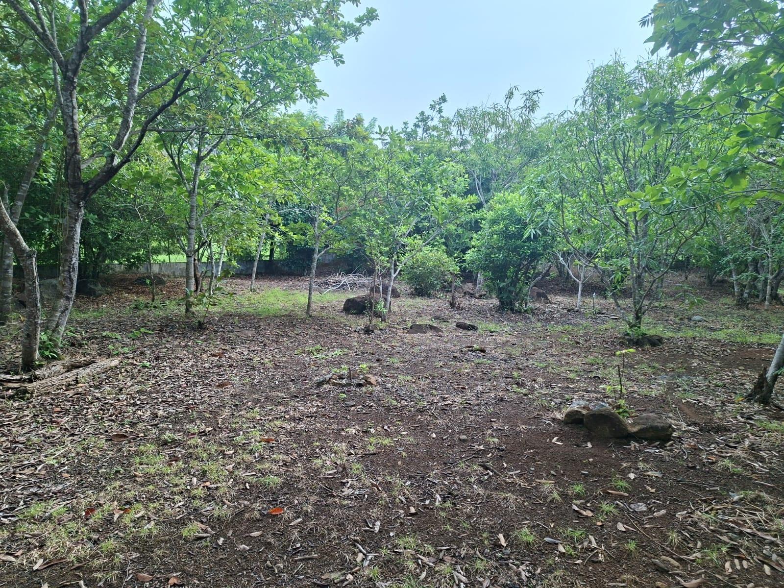 Excellent land with improvements via El Valle